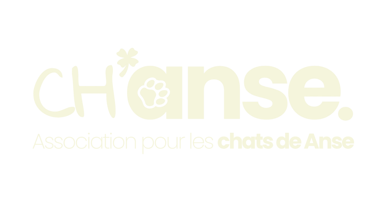 associationchanse.fr
