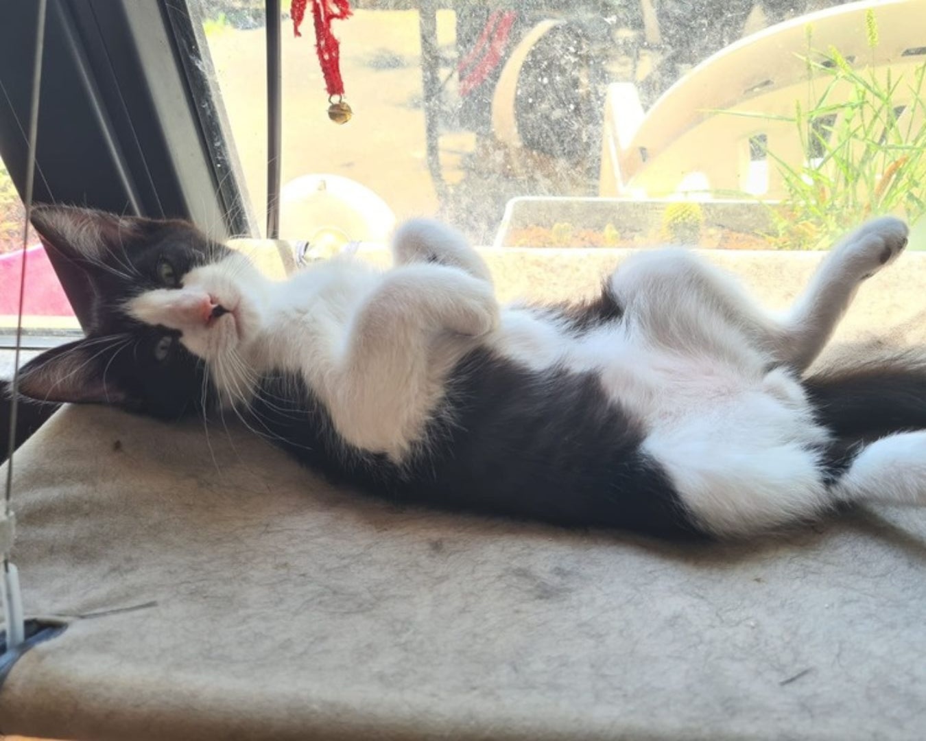 Post Ch'anse - Pinceau